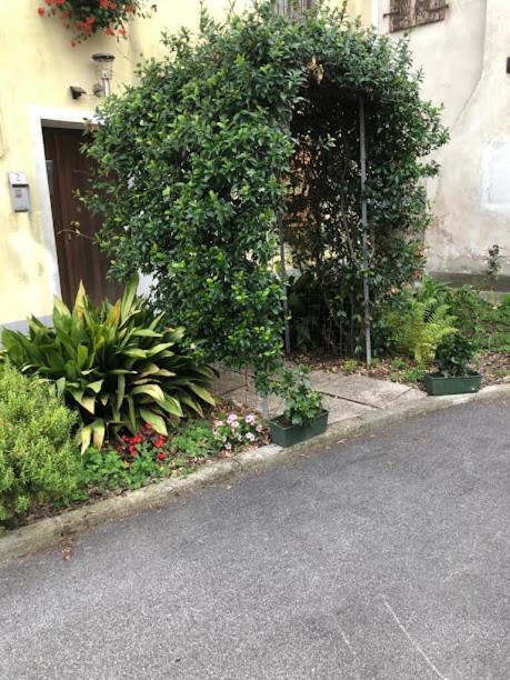 Bed and Breakfast Il Casale Del Miele Fraforeano Exterior foto