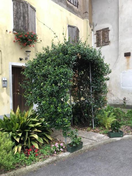 Bed and Breakfast Il Casale Del Miele Fraforeano Exterior foto